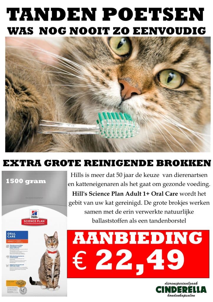 Hills Oral Care kattenvoeding